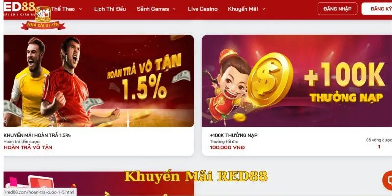 Những lưu ý quan trọng khi newbie tham gia nhận khuyến mãi Red88
