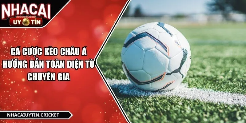 Cá Cược Kèo Châu Á Hướng Dẫn Toàn Diện Từ Chuyên Gia