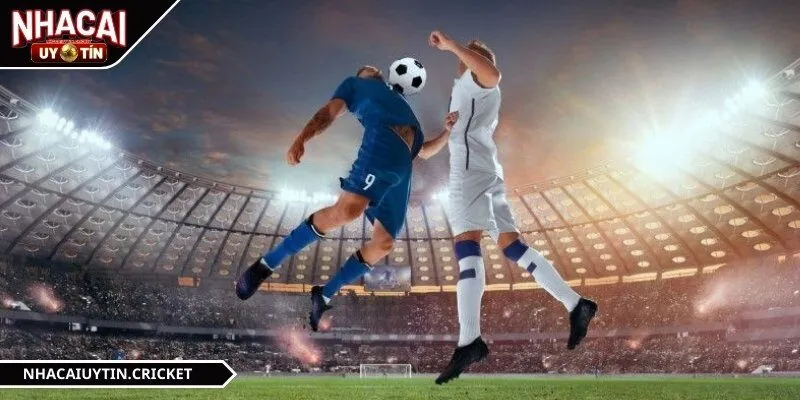 Các loại tỷ lệ phổ biến