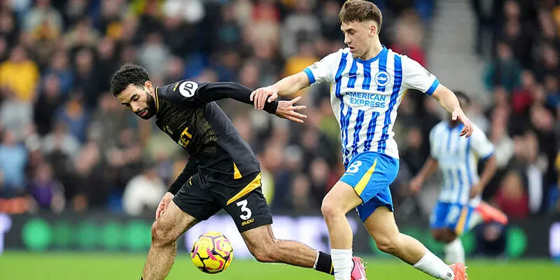 Nhận định trận đấu Wolves vs Brighton chi tiết
