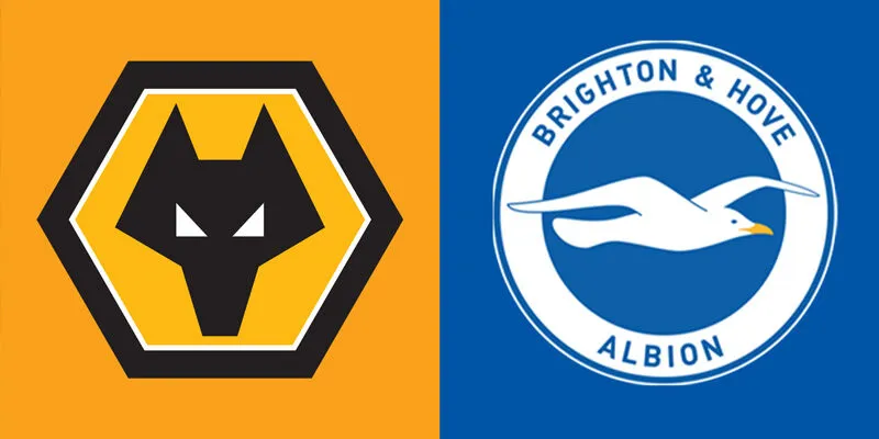 Wolves vs Brighton